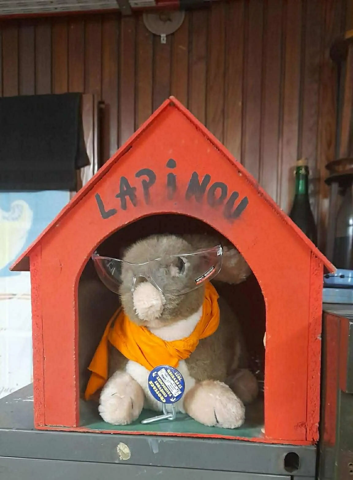 Lapinou du local 700 du Cercle Scientifique